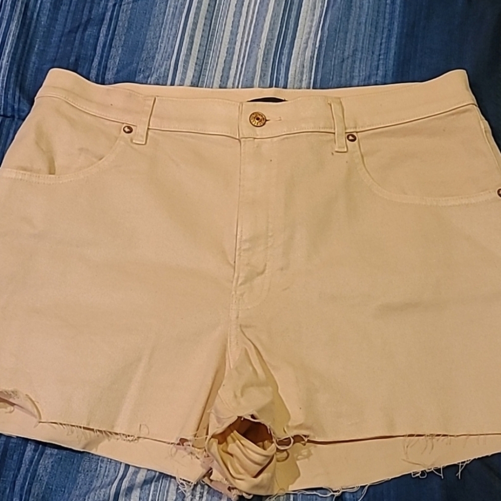 Express Shorts